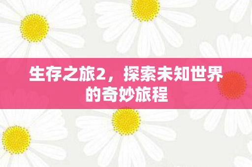 生存之旅2，探索未知世界的奇妙旅程