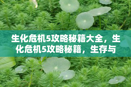 生化危机5攻略秘籍大全，生化危机5攻略秘籍，生存与逃脱的艺术