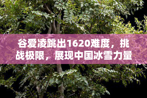 谷爱凌跳出1620难度，挑战极限，展现中国冰雪力量