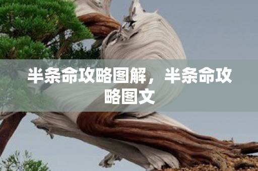 半条命攻略图解,半条命攻略图文 半条命攻略图解,半条命攻略图文