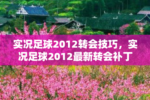实况足球2012最新转会补丁图片