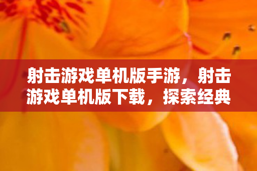 射击游戏单机版手游，射击游戏单机版下载，探索经典与创新的完美结合