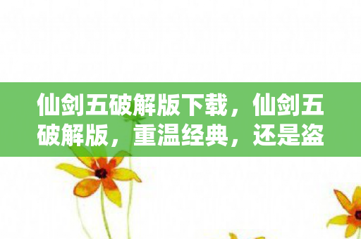 仙剑五破解版下载，仙剑五破解版，重温经典，还是盗版之殇？