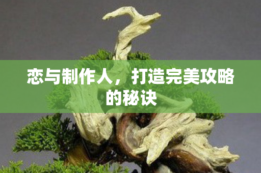 恋与制作人，打造完美攻略的秘诀