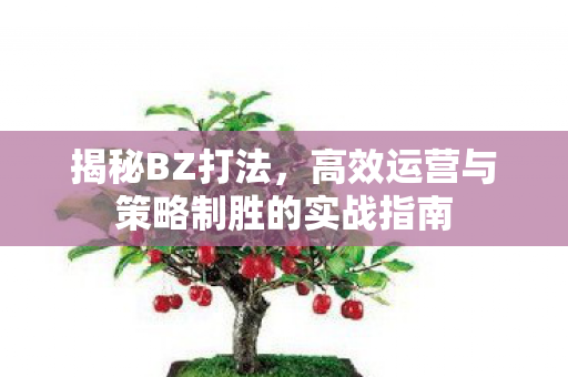 揭秘BZ打法，高效运营与策略制胜的实战指南