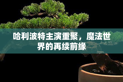 哈利波特主演重聚，魔法世界的再续前缘