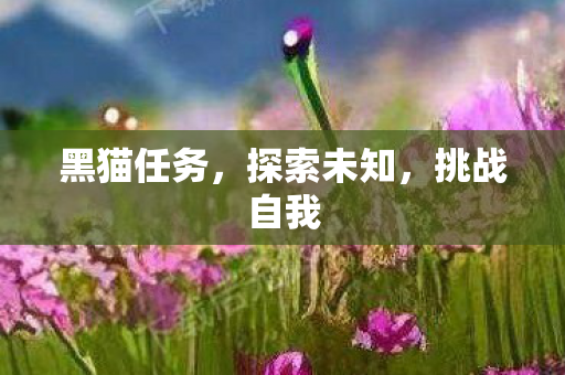 黑猫任务，探索未知，挑战自我