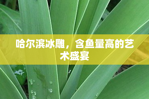 哈尔滨冰雕，含鱼量高的艺术盛宴