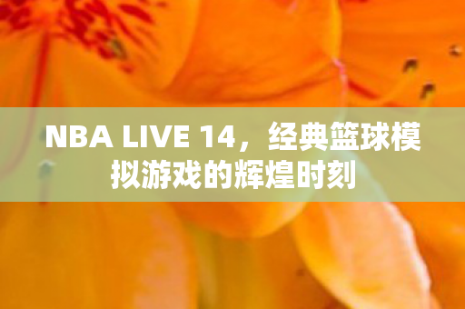 NBA LIVE 14，经典篮球模拟游戏的辉煌时刻