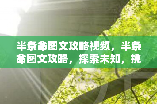 半条命图文攻略视频,半条命图文攻略,探索未知,挑战极限 半条命图文攻略视频,半条命图文攻略,探索未知,挑战极限