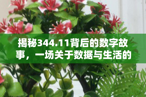 揭秘344.11背后的数字故事，一场关于数据与生活的微妙对话