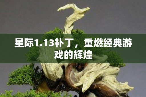 星际1.13补丁，重燃经典游戏的辉煌