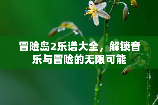 冒险岛2乐谱大全，解锁音乐与冒险的无限可能