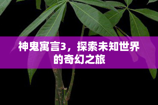 神鬼寓言3，探索未知世界的奇幻之旅