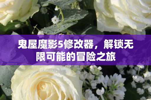 鬼屋魔影5修改器,解锁无限可能的冒险之旅 鬼屋魔影5修改器,解锁无限可能的冒险之旅