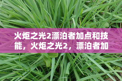 火炬之光2漂泊者加点和技能，火炬之光2，漂泊者加点指南