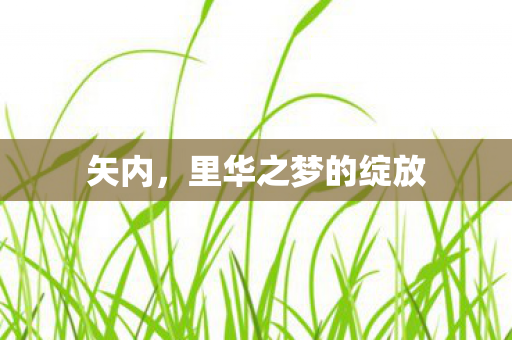 矢内，里华之梦的绽放