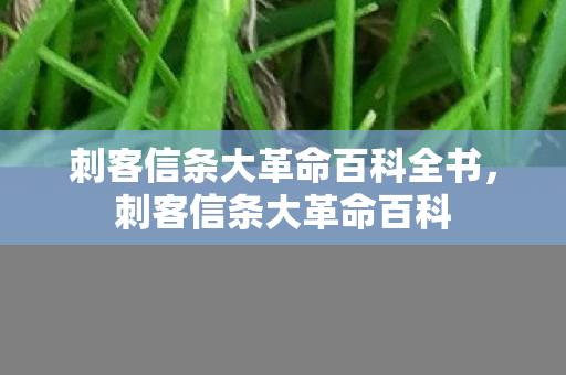 刺客信条大革命百科全书，刺客信条大革命百科