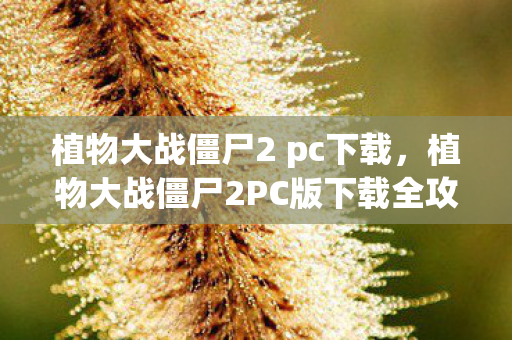 植物大战僵尸2 pc下载，植物大战僵尸2PC版下载全攻略，解锁无尽挑战的趣味之旅