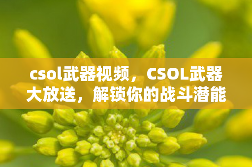csol武器视频，CSOL武器大放送，解锁你的战斗潜能！