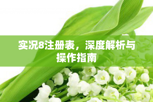 实况8注册表,深度解析与操作指南 实况8注册表,深度解析与操作指南