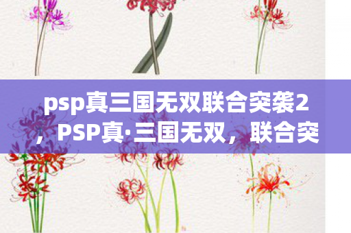psp真三国无双联合突袭2，PSP真·三国无双，联合突袭深度解析，策略与动作的完美结合
