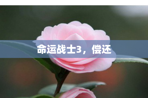 命运战士3，偿还