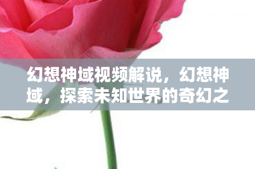 幻想神域视频解说，幻想神域，探索未知世界的奇幻之旅