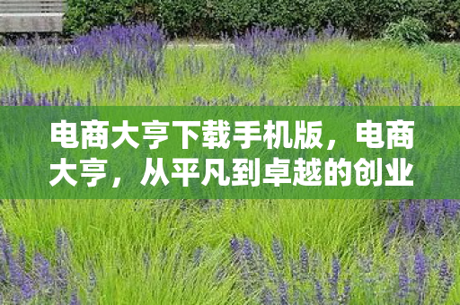 电商大亨下载手机版,电商大亨,从平凡到卓越的创业之路 电商大亨下载手机版,电商大亨,从平凡到卓越的创业之路