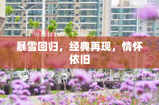 暴雪回归，经典再现，情怀依旧