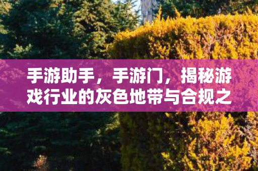 手游助手，手游门，揭秘游戏行业的灰色地带与合规之路