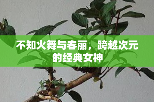 不知火舞与春丽，跨越次元的经典女神