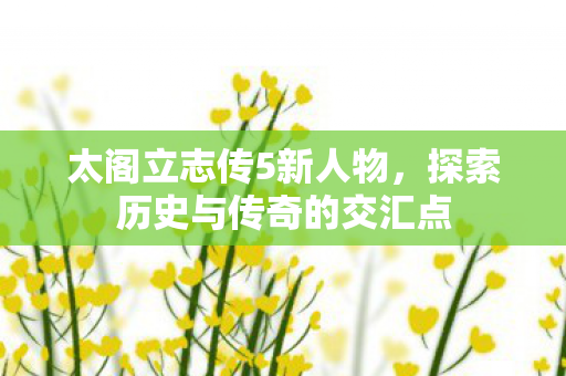太阁立志传5新人物，探索历史与传奇的交汇点