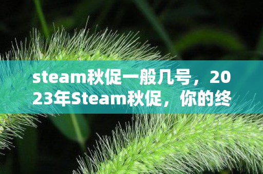 steam秋促一般几号，2023年Steam秋促，你的终极游戏购买指南