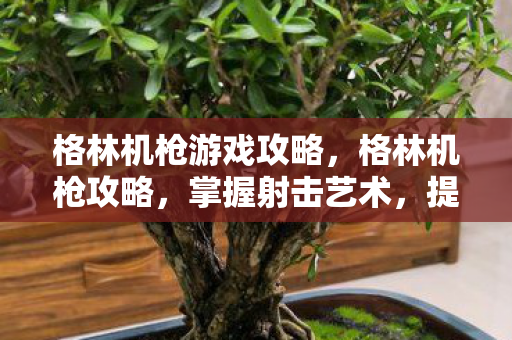 格林机枪游戏攻略，格林机枪攻略，掌握射击艺术，提升战场生存能力