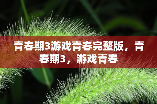 青春期3游戏青春完整版，青春期3，游戏青春