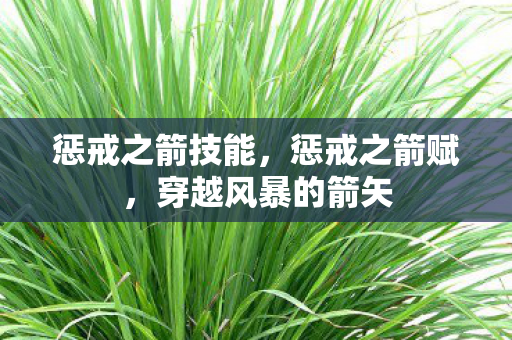 惩戒之箭技能，惩戒之箭赋，穿越风暴的箭矢