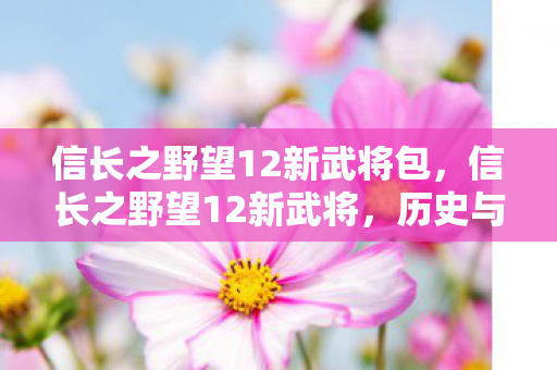 信长之野望12新武将包,信长之野望12新武将,历史与战略的交织 信长之野望12新武将包,信长之野望12新武将,历史与战略的交织