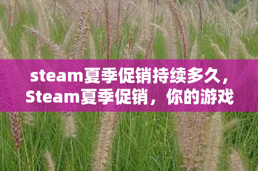 steam夏季促销持续多久，Steam夏季促销，你的游戏库大升级的最佳时机