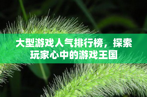大型游戏人气排行榜，探索玩家心中的游戏王国