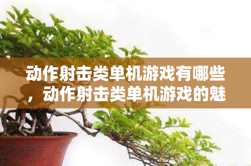 动作射击类单机游戏有哪些，动作射击类单机游戏的魅力与探索