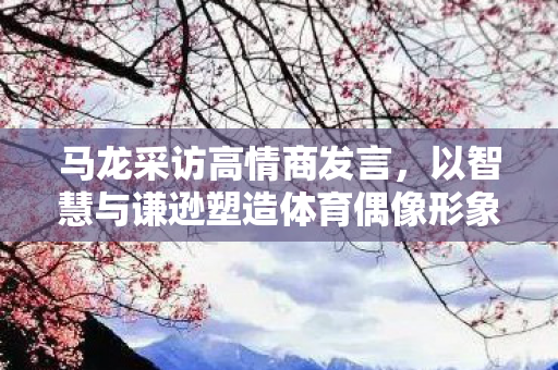 马龙采访高情商发言，以智慧与谦逊塑造体育偶像形象
