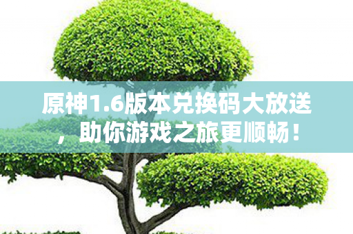 原神1.6版本兑换码大放送，助你游戏之旅更顺畅！