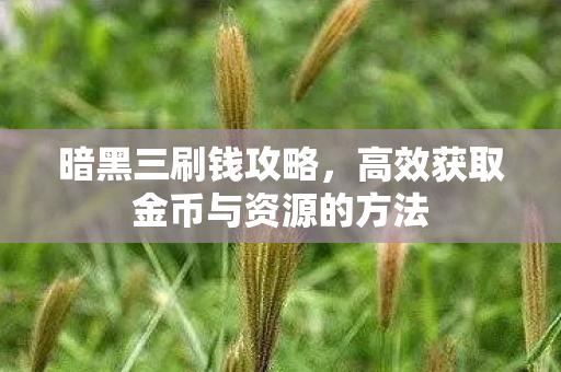 暗黑三刷钱攻略，高效获取金币与资源的方法