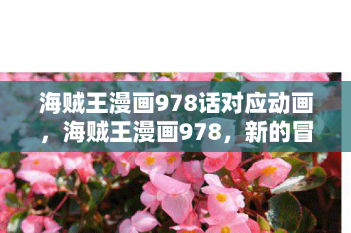 海贼王漫画978话对应动画，海贼王漫画978，新的冒险，新的谜团