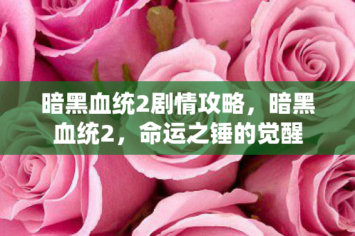 暗黑血统2剧情攻略，暗黑血统2，命运之锤的觉醒