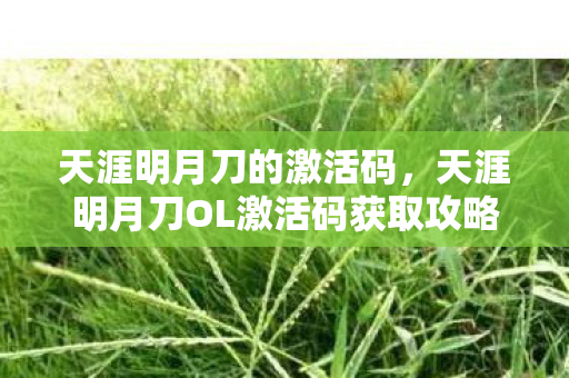 天涯明月刀的激活码，天涯明月刀OL激活码获取攻略