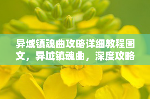 异域镇魂曲攻略详细教程图文，异域镇魂曲，深度攻略