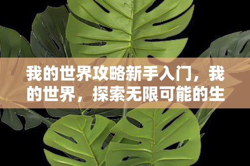 我的世界攻略新手入门,我的世界,探索无限可能的生存与建造指南 我的世界攻略新手入门,我的世界,探索无限可能的生存与建造指南