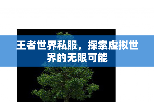 王者世界私服,探索虚拟世界的无限可能 王者世界私服,探索虚拟世界的无限可能